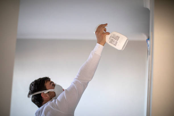 Best Home Mold Removal  in Shell Valley, ND