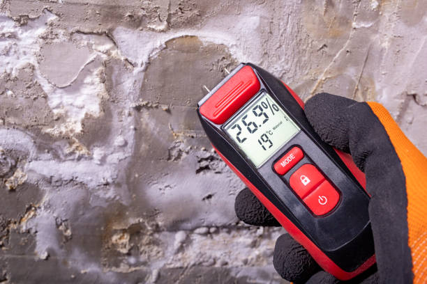 Best Mold Removal and Inspection  in Shell Valley, ND