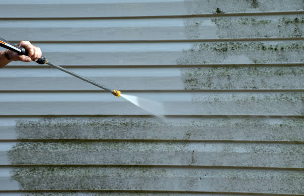 Best Attic Mold Removal  in Shell Valley, ND