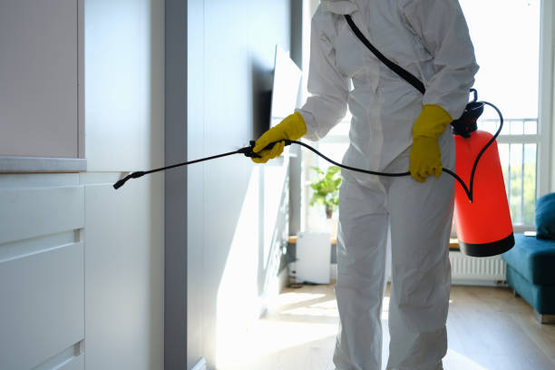 Best Commercial Mold Removal  in Shell Valley, ND
