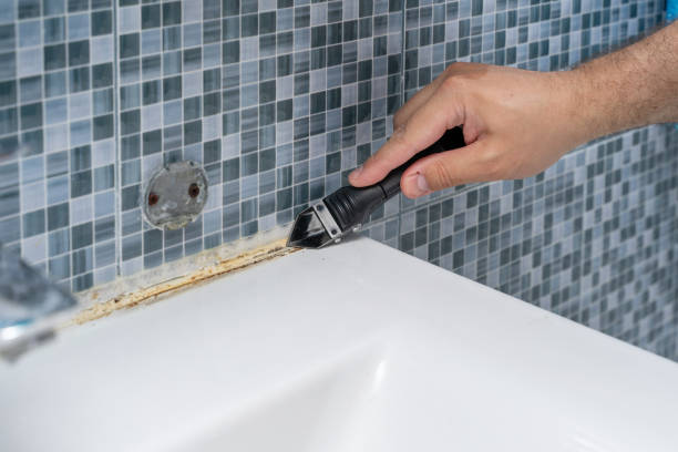 Reliable Shell Valley, ND Mold Removal Solutions