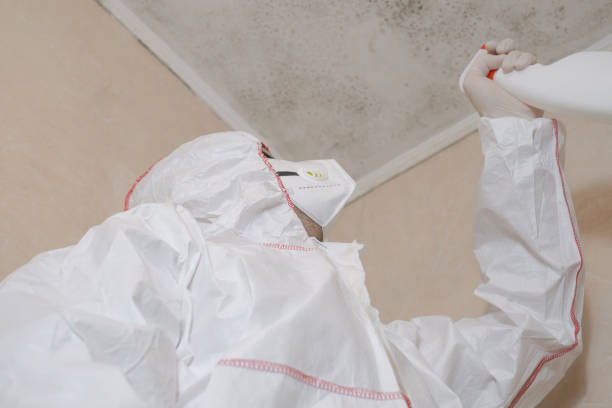 Best Crawl Space Mold Removal  in Shell Valley, ND