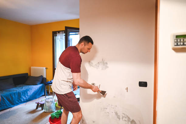 Best Local Mold Removal Service  in Shell Valley, ND