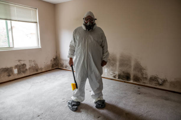 Best Crawl Space Mold Removal  in Shell Valley, ND